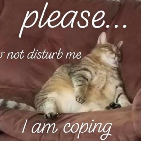 Meet your Posher, Thora - Picture 1 of 1